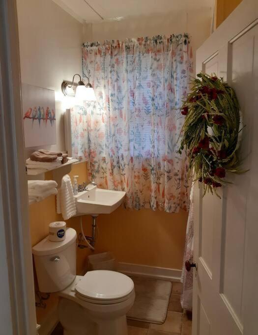 #05 - Lakefront Two Bedroom Cottage- Pet Friendly هوت سبرنغز المظهر الخارجي الصورة